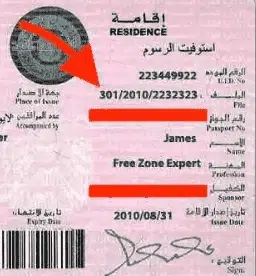UAE Visa File Number: Track Your Application Status Now 10 UAE Visa File Number