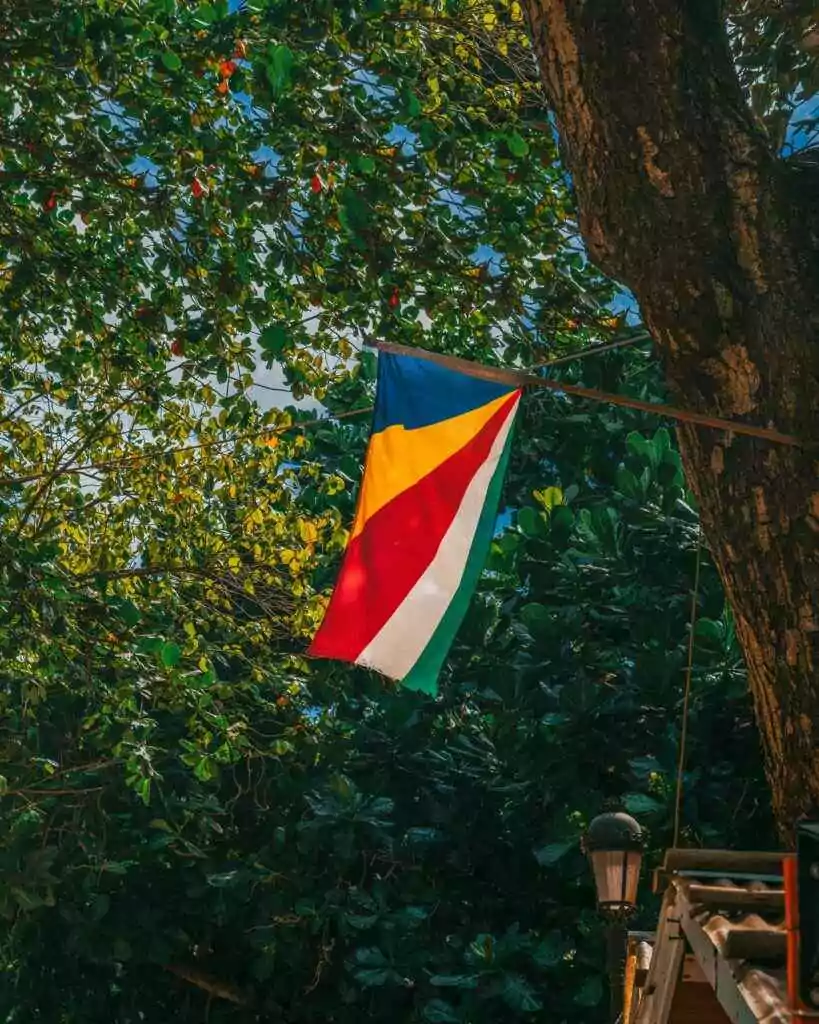 Your World Awaits: 15+ Visa-on-Arrival Countries for UAE 24 The Seychelles flag hangs prominently from a tree surrounded by vibrant leaves, symbolizing national pride.