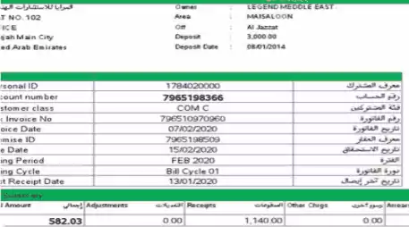 سدد فواتير سيوا بسهولة - تجنب رسوم التأخير، ادفع اليوم! 11 Bill