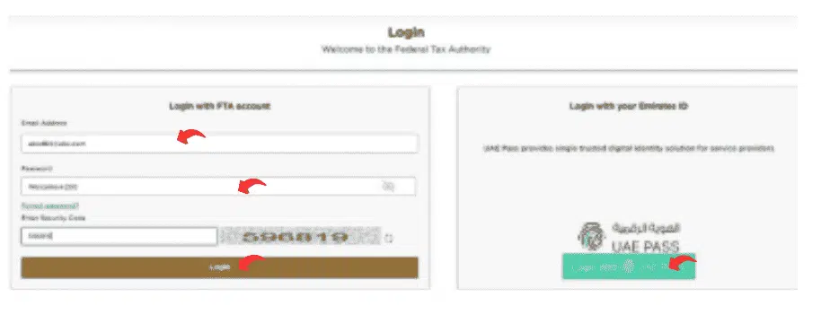 How to File VAT in UAE – Quick Guide to Avoid Fines 12 How to File VAT Online in UAE?
