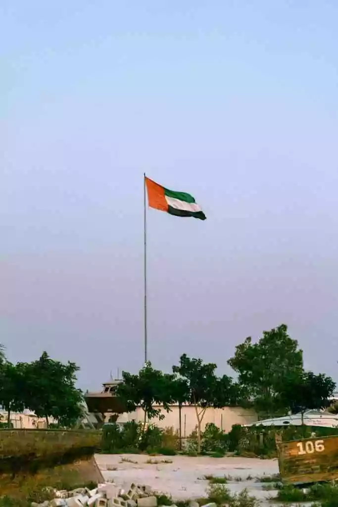 uae flag 1