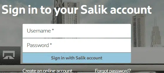 Salik 132 3