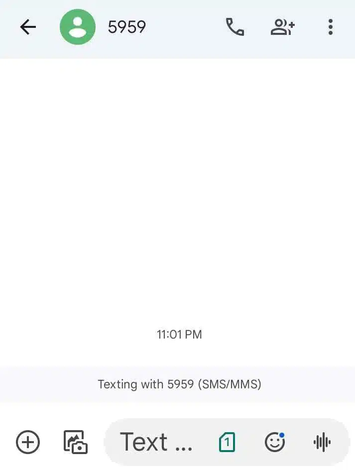 Salik balance