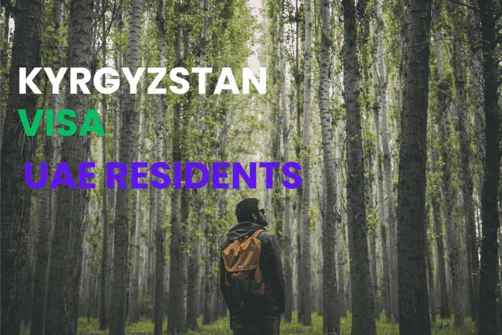 A man in Kyrgyzstan forest.