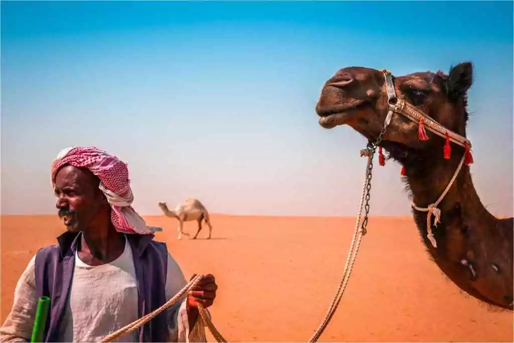 An Arab man and his camel