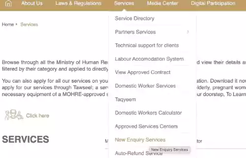 MOHRE Website 2