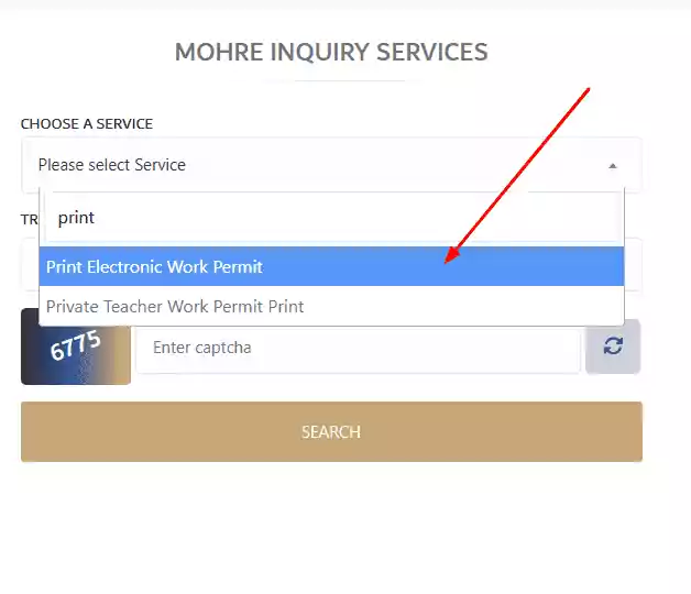 MOHRE Website