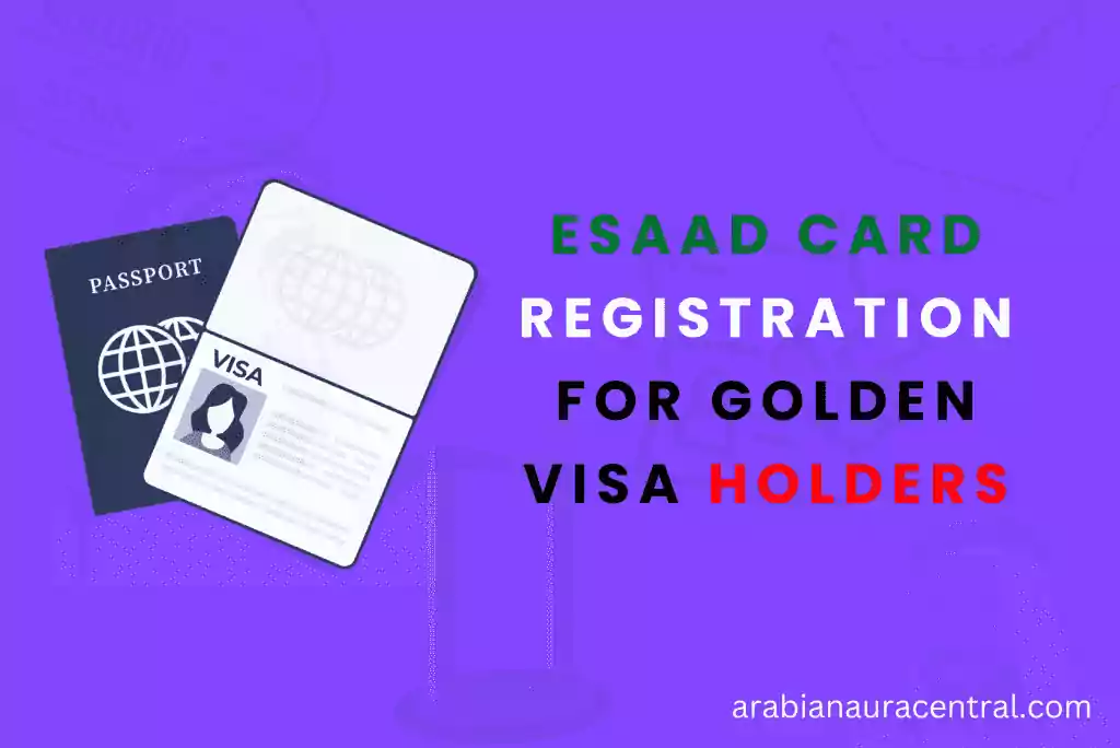 A passport and visa infographics