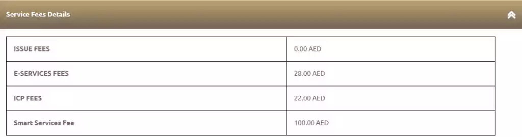 approval to return to uae 3