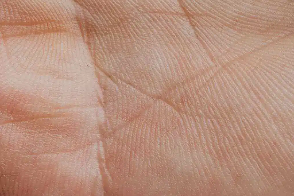 Detailed close-up photo capturing intricate skin lines and texture on a human palm.