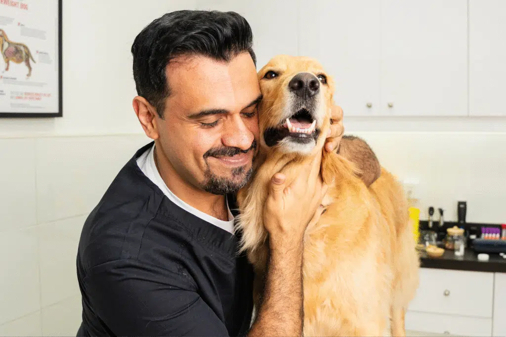A veterinarian in Dubai carefully examines a happy Golden Retriever during a check-up at a veterinary clinic Dubai