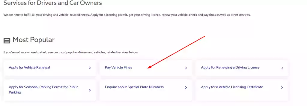 Go to pay vehicle fine image screenshort