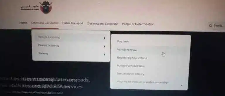 Go to the “Services” section and select “Vehicle Licensing Services.”