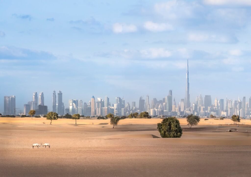 A photo of Dubai desert