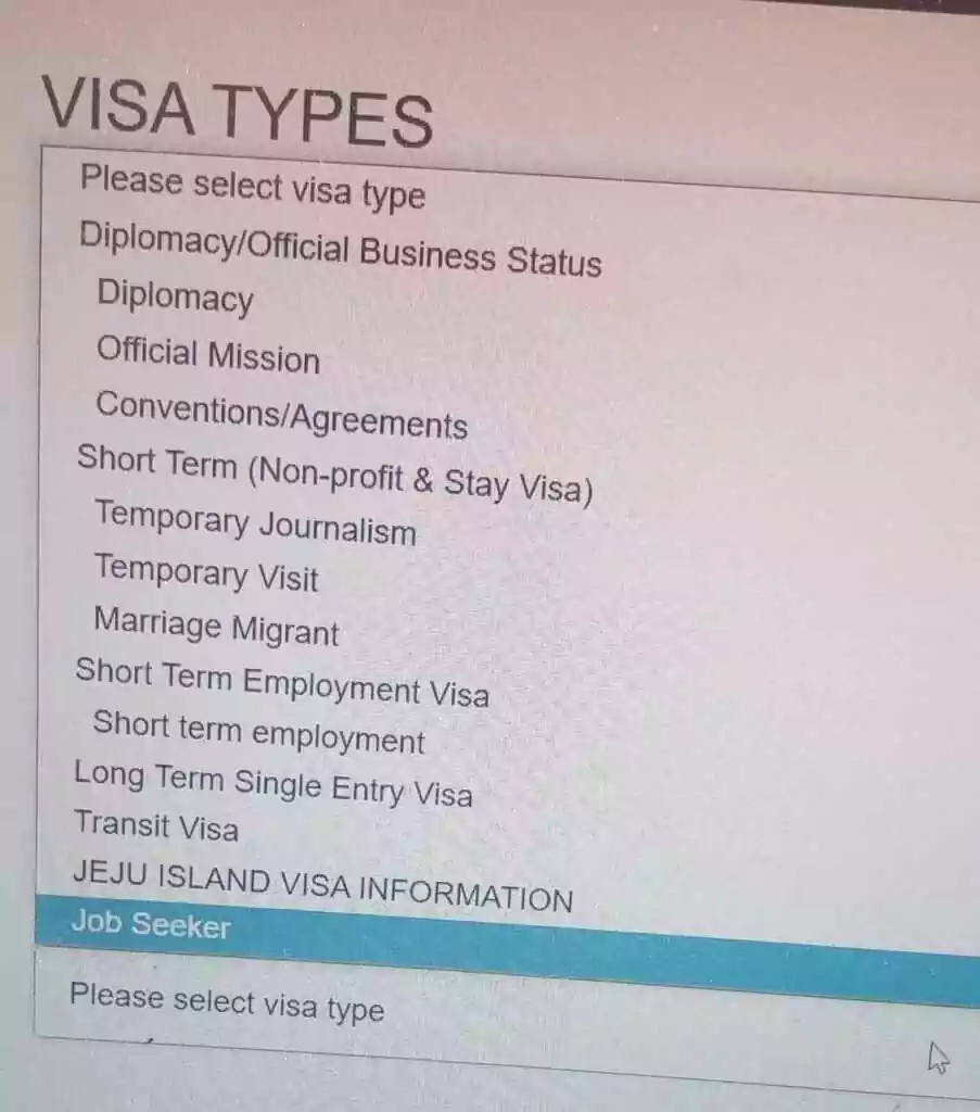 Visa Guide 1