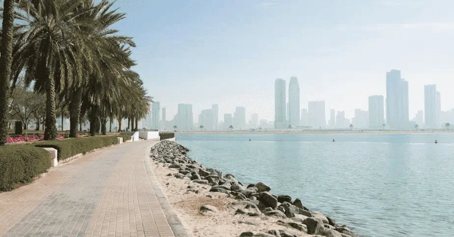 A beach in UAE