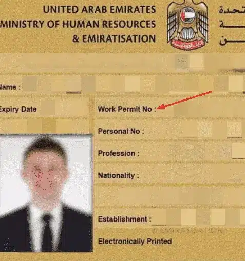 Get the labour card number image