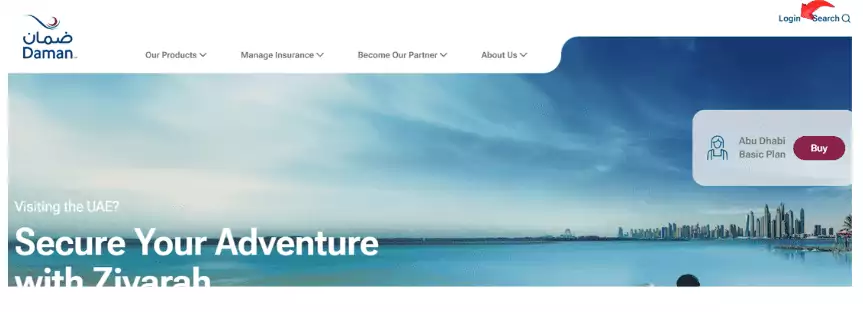 Daman Health Website 1