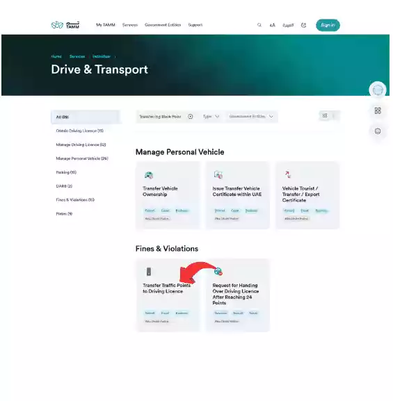Search for the Transfer Service