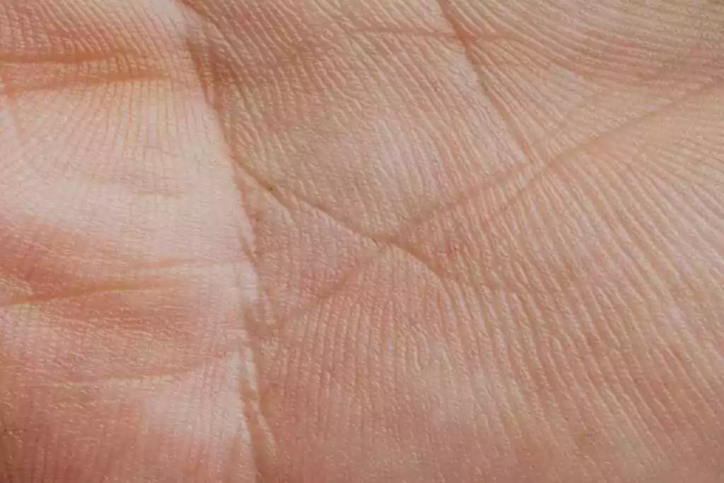 Detailed close-up photo capturing intricate skin lines and texture on a human palm.