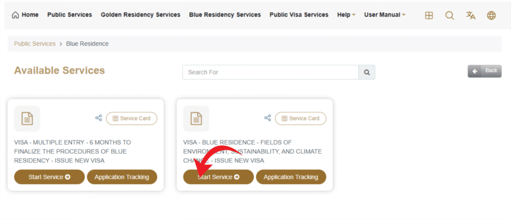 Blue Residency Visa Dubai 2025 – Step-by-Step Guide 12 Select Blue Residency Visa under the long-term residence category.