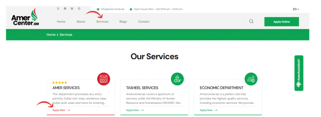 A screenshot of Amer website