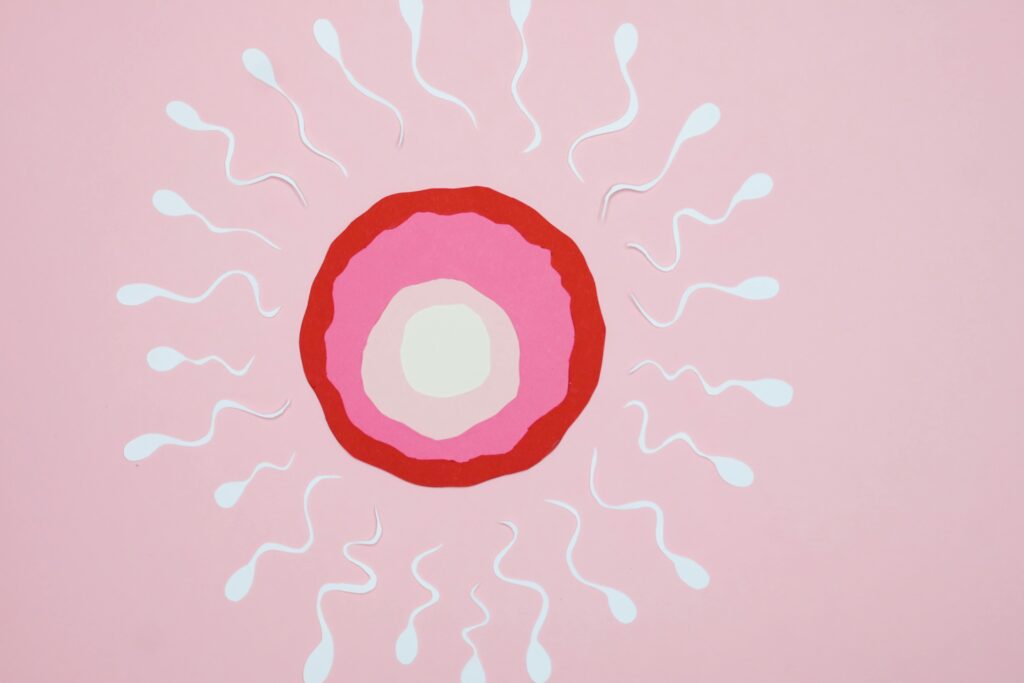 Conceptual art of fertilization with sperm and egg on a pink background.