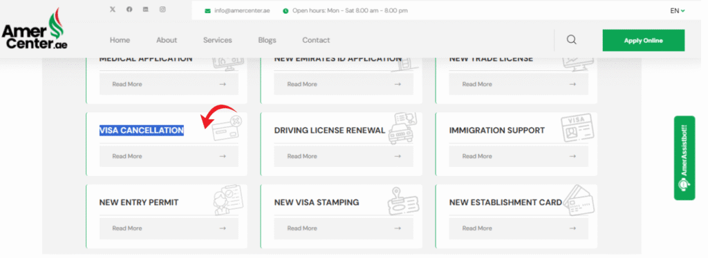A screenshot of Amer website