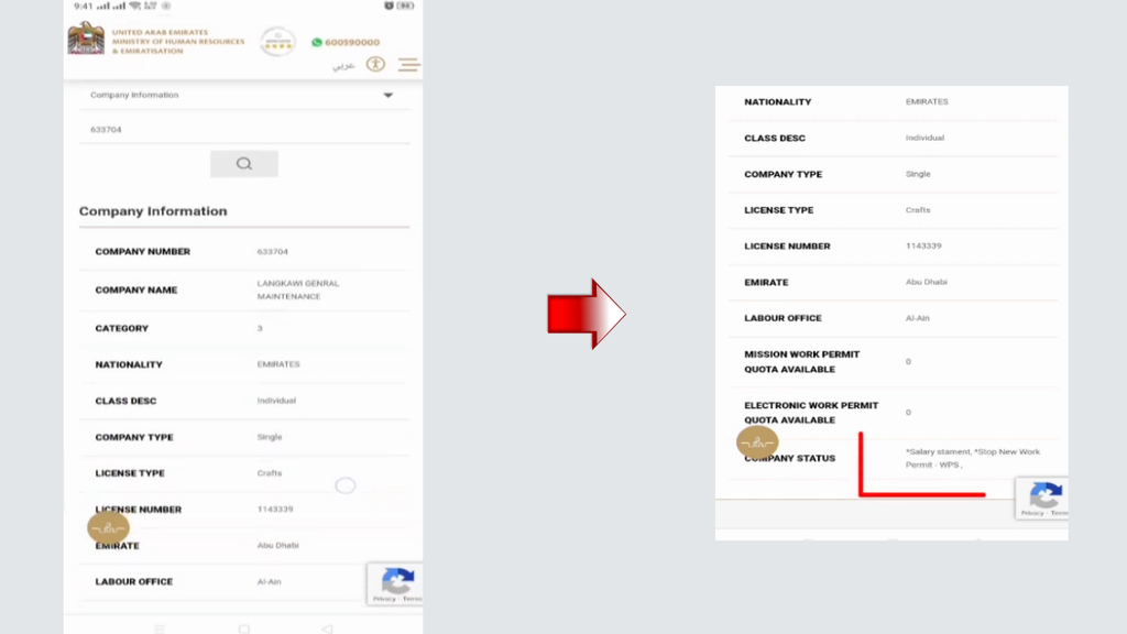 Check UAE company details through MOHRE for WPS status