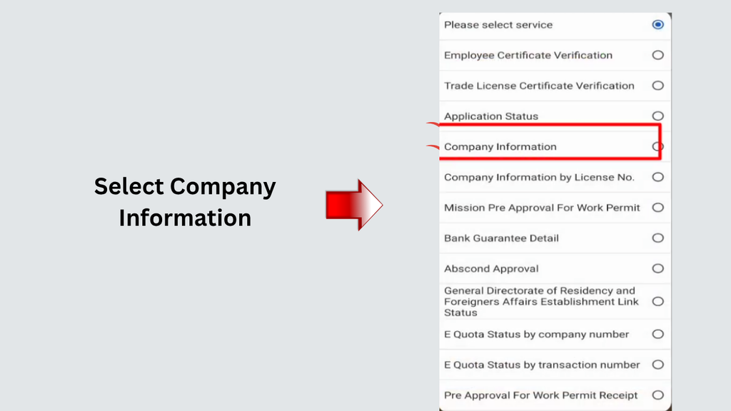 Select Company Information in MOHRE services to check WPS in UAE
